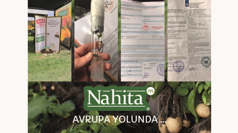 NAHITA Avrupa Yolunda